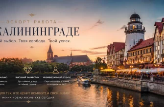 Эскорт работа в Калининграде